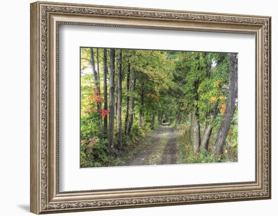 Carriage Path-Robert Goldwitz-Framed Photographic Print