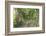 Carriage Path-Robert Goldwitz-Framed Photographic Print