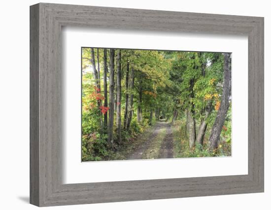 Carriage Path-Robert Goldwitz-Framed Photographic Print