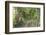 Carriage Path-Robert Goldwitz-Framed Photographic Print