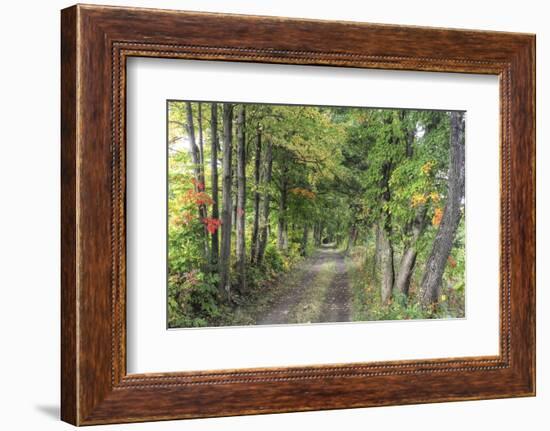 Carriage Path-Robert Goldwitz-Framed Photographic Print