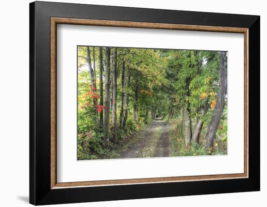 Carriage Path-Robert Goldwitz-Framed Photographic Print