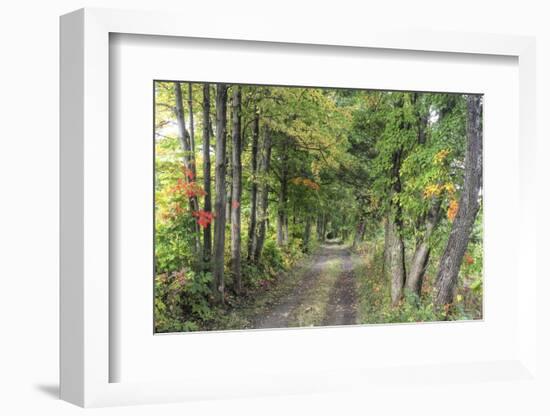 Carriage Path-Robert Goldwitz-Framed Photographic Print