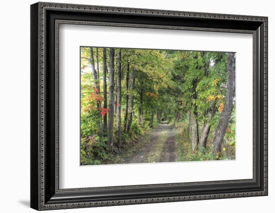 Carriage Path-Robert Goldwitz-Framed Photographic Print