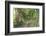 Carriage Path-Robert Goldwitz-Framed Photographic Print