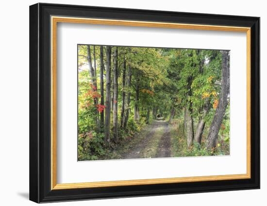 Carriage Path-Robert Goldwitz-Framed Photographic Print