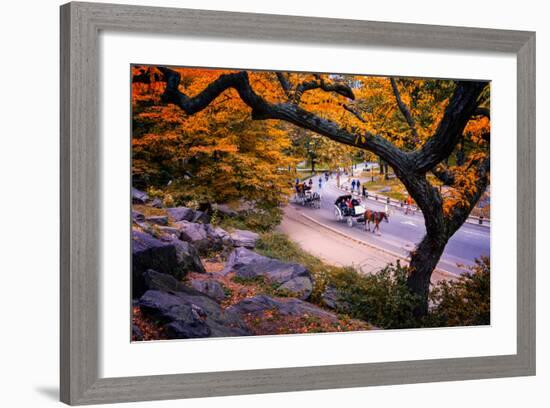 Carriage Ride, Central Park, New York City, United States of America, North America-Jim Nix-Framed Photographic Print