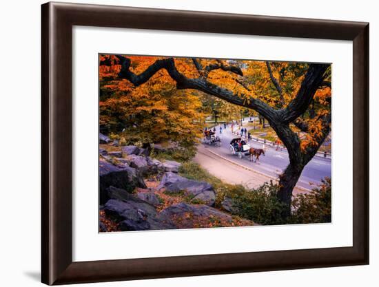 Carriage Ride, Central Park, New York City, United States of America, North America-Jim Nix-Framed Photographic Print