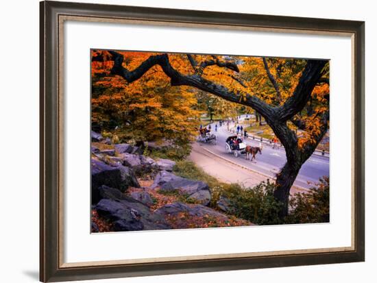 Carriage Ride, Central Park, New York City, United States of America, North America-Jim Nix-Framed Photographic Print