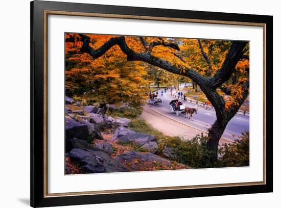 Carriage Ride, Central Park, New York City, United States of America, North America-Jim Nix-Framed Photographic Print