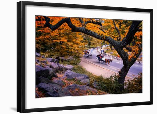 Carriage Ride, Central Park, New York City, United States of America, North America-Jim Nix-Framed Photographic Print