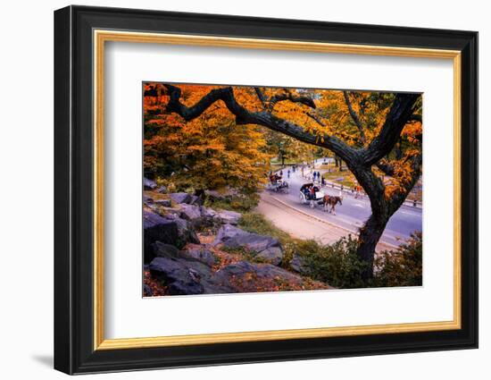 Carriage Ride, Central Park, New York City, United States of America, North America-Jim Nix-Framed Photographic Print