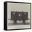 Carriage Used on the South-Eastern Railway by the Duke of Wellington as Warden of the Cinque Ports-null-Framed Premier Image Canvas