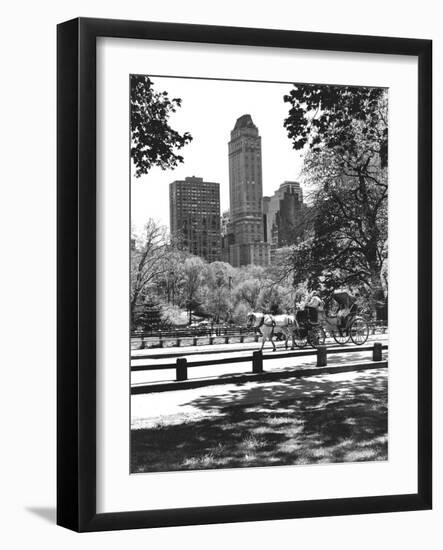 Carriage-Chris Bliss-Framed Photographic Print