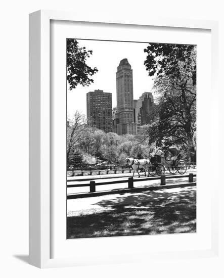 Carriage-Chris Bliss-Framed Photographic Print
