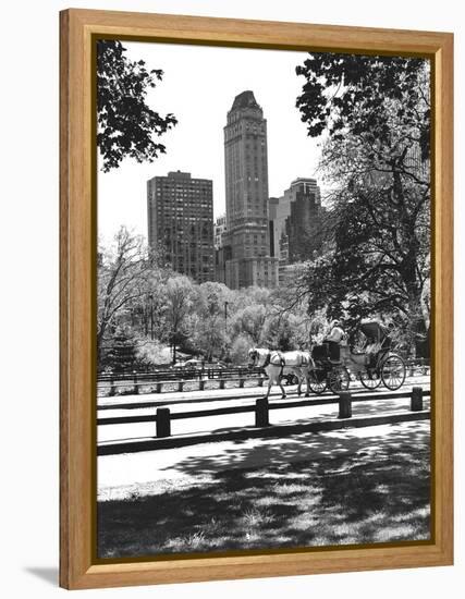 Carriage-Chris Bliss-Framed Premier Image Canvas