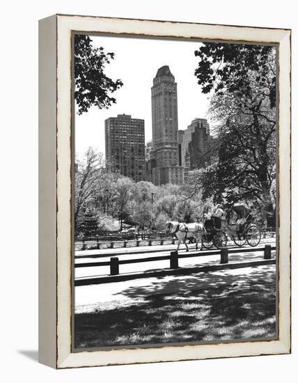 Carriage-Chris Bliss-Framed Premier Image Canvas
