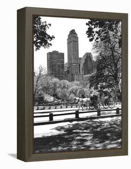 Carriage-Chris Bliss-Framed Premier Image Canvas