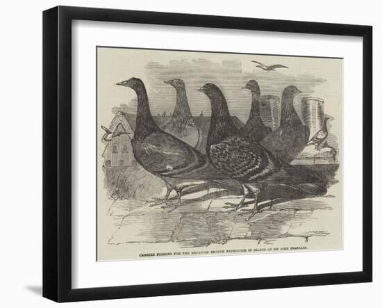 Carrier Pigeons for the Renewed Branch Expedition in Search of Sir John Franklin-null-Framed Giclee Print