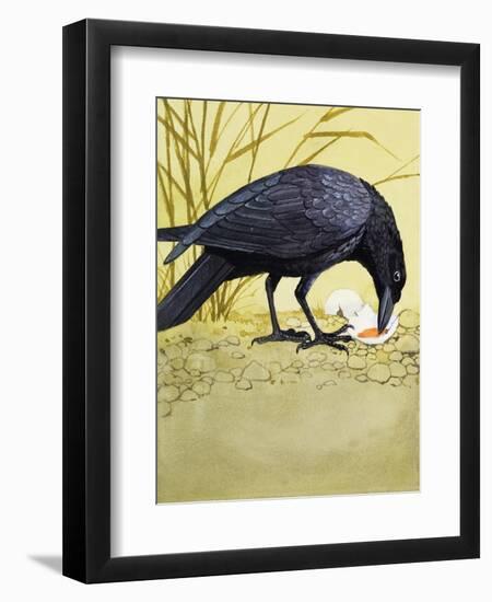 Carrion Crow-null-Framed Giclee Print