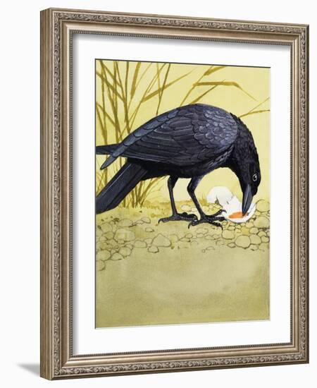 Carrion Crow-null-Framed Giclee Print