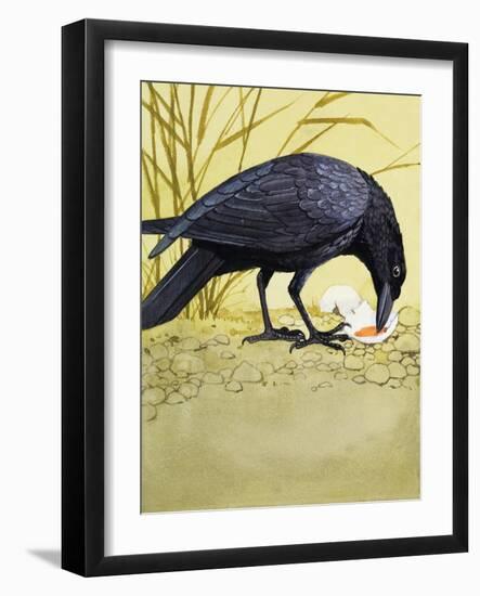 Carrion Crow-null-Framed Giclee Print