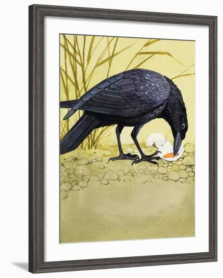 Carrion Crow-null-Framed Premium Giclee Print