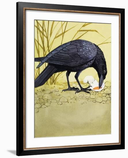 Carrion Crow-null-Framed Premium Giclee Print