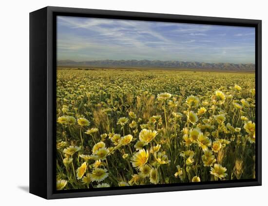 Carrizo I-Mark Geistweite-Framed Premier Image Canvas