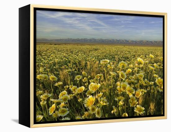 Carrizo I-Mark Geistweite-Framed Premier Image Canvas