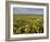 Carrizo I-Mark Geistweite-Framed Photographic Print