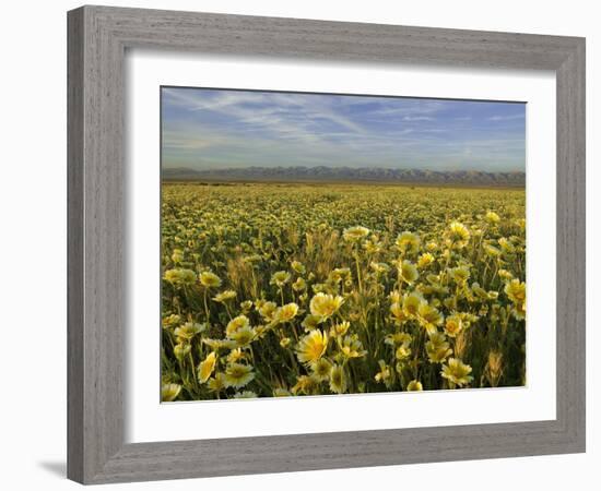 Carrizo I-Mark Geistweite-Framed Photographic Print