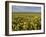 Carrizo I-Mark Geistweite-Framed Photographic Print