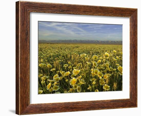 Carrizo I-Mark Geistweite-Framed Photographic Print