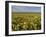 Carrizo I-Mark Geistweite-Framed Photographic Print