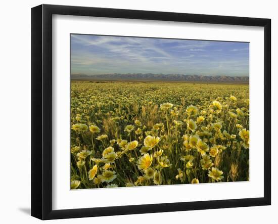 Carrizo I-Mark Geistweite-Framed Photographic Print