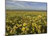 Carrizo I-Mark Geistweite-Mounted Photographic Print