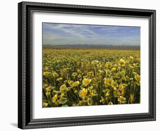 Carrizo I-Mark Geistweite-Framed Photographic Print