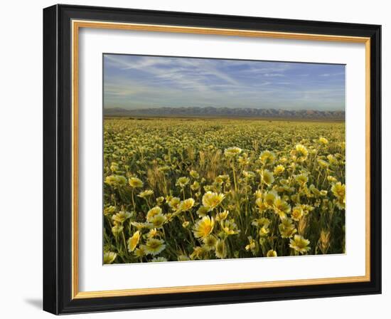 Carrizo I-Mark Geistweite-Framed Photographic Print