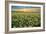 Carrizo II-Mark Geistweite-Framed Photographic Print