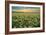 Carrizo II-Mark Geistweite-Framed Photographic Print