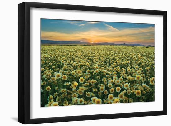 Carrizo II-Mark Geistweite-Framed Photographic Print