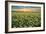 Carrizo II-Mark Geistweite-Framed Photographic Print