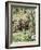 Carroll: Alice, 1865-John Tenniel-Framed Giclee Print