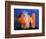 Carrot Catastrophe-Alan Sailer-Framed Photographic Print