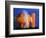 Carrot Catastrophe-Alan Sailer-Framed Photographic Print