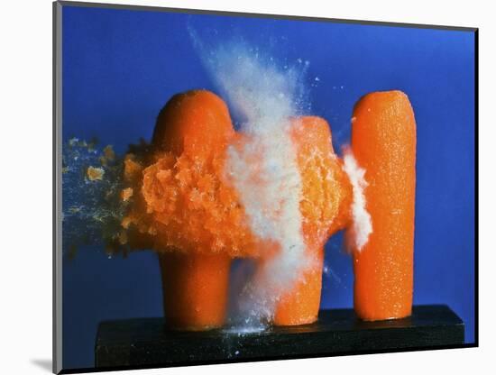 Carrot Catastrophe-Alan Sailer-Mounted Photographic Print