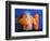 Carrot Catastrophe-Alan Sailer-Framed Photographic Print