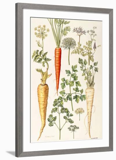 Carrot, Parsnip and Parsley-Elizabeth Rice-Framed Giclee Print