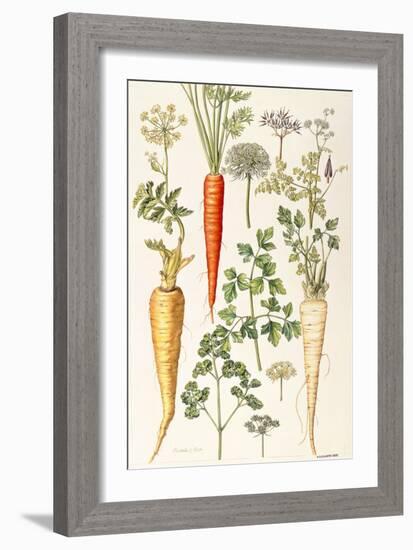 Carrot, Parsnip and Parsley-Elizabeth Rice-Framed Giclee Print
